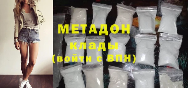 хмурый Пересвет