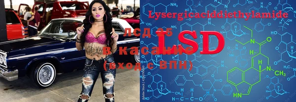 мяу мяу мука Вяземский