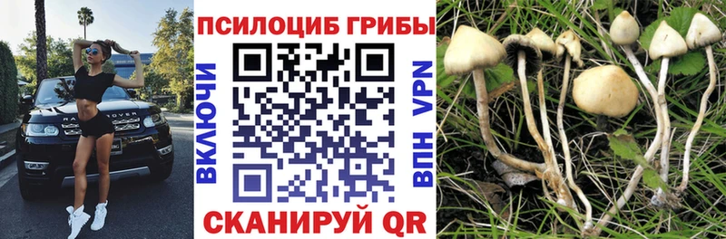 Псилоцибиновые грибы GOLDEN TEACHER  Железногорск 
